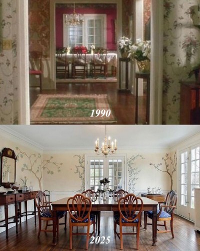 Как сейчас выглядит дом из фильма «Один дома»