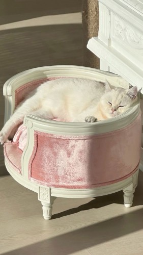 Баркитектура — новый тренд в дизайне и архитектуре