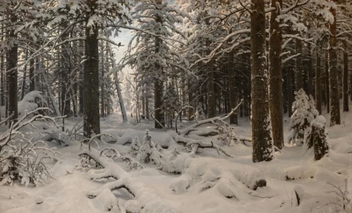 В Русском музее проходит выставка «Иван Шишкин. Русский лес»