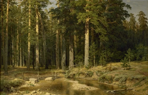 В Русском музее проходит выставка «Иван Шишкин. Русский лес»