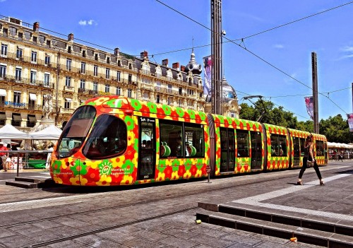 Монпелье введет бесплатный проезд в общественном транспорте